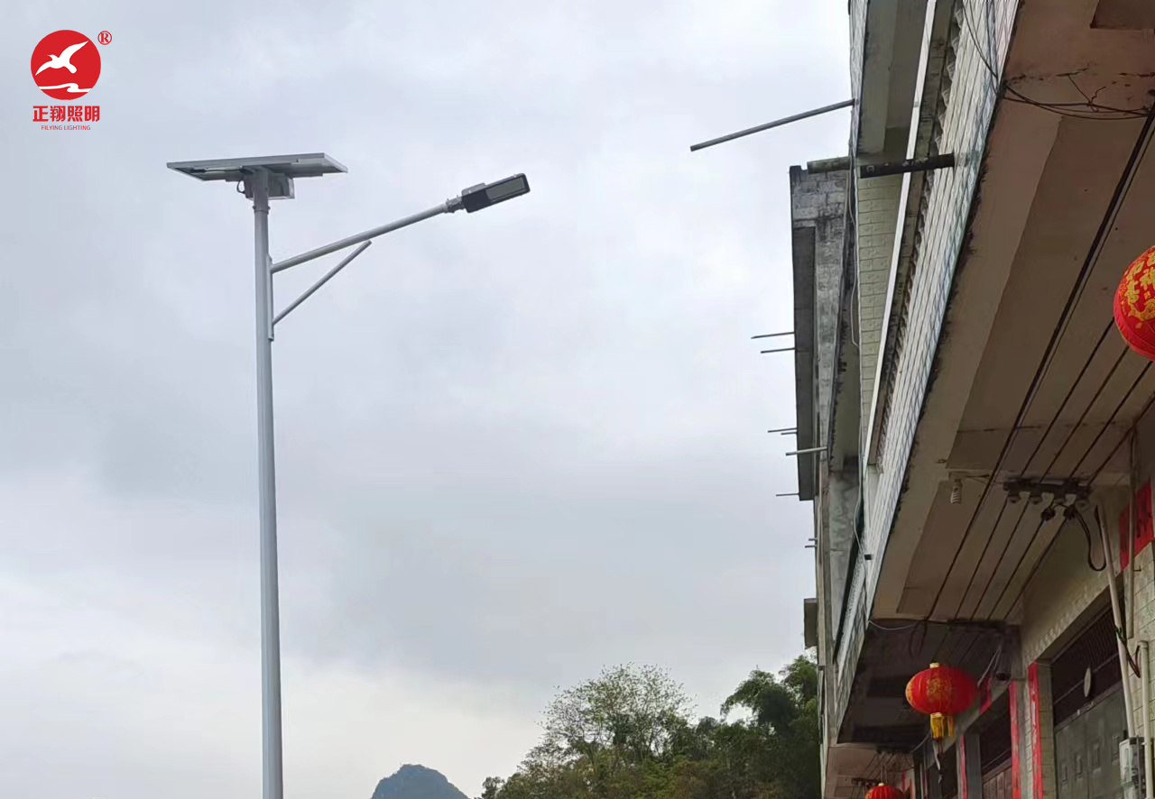 廣西靖西市太陽能路燈項目案例