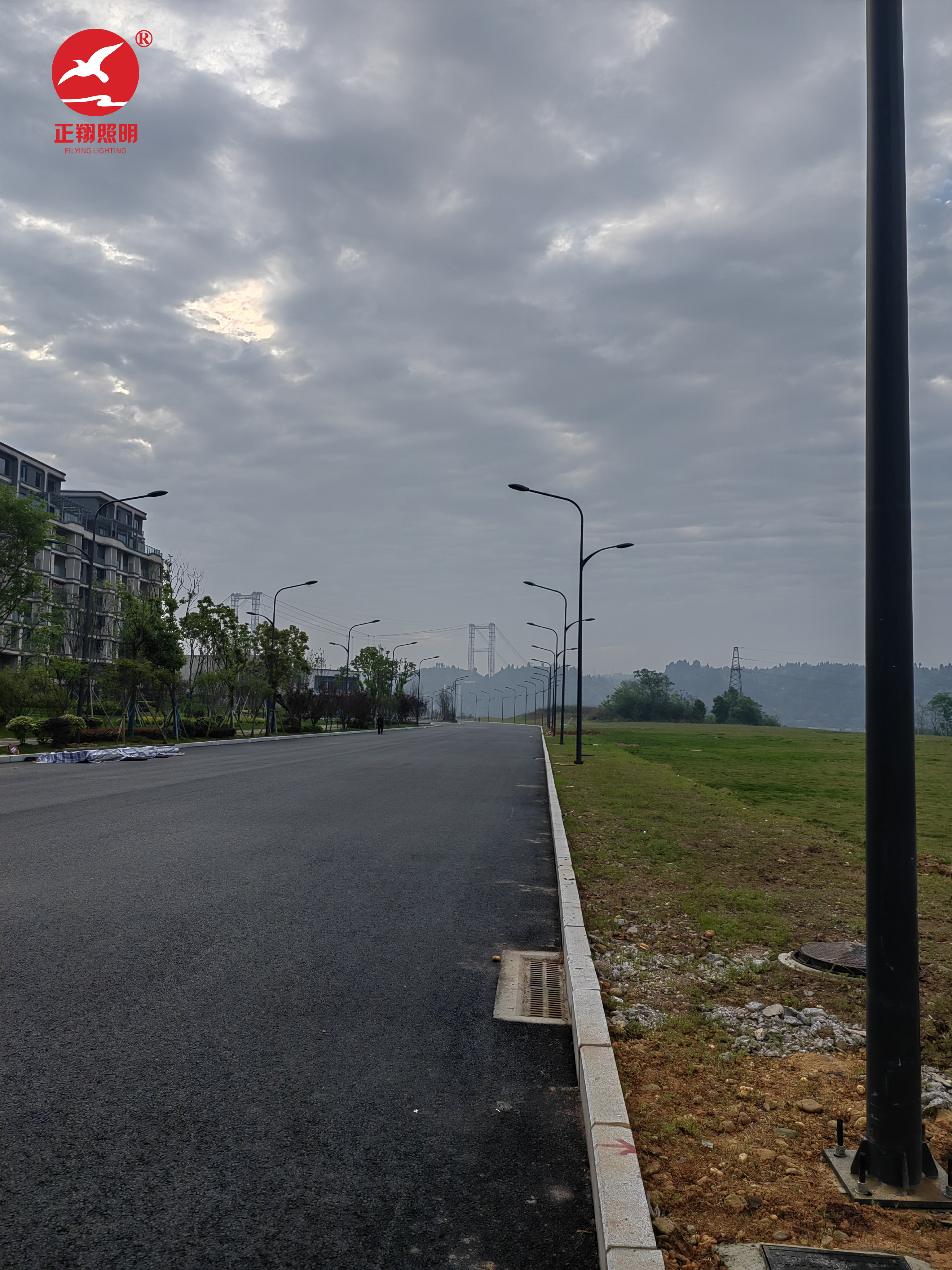 重慶高低臂路燈工程項目案例