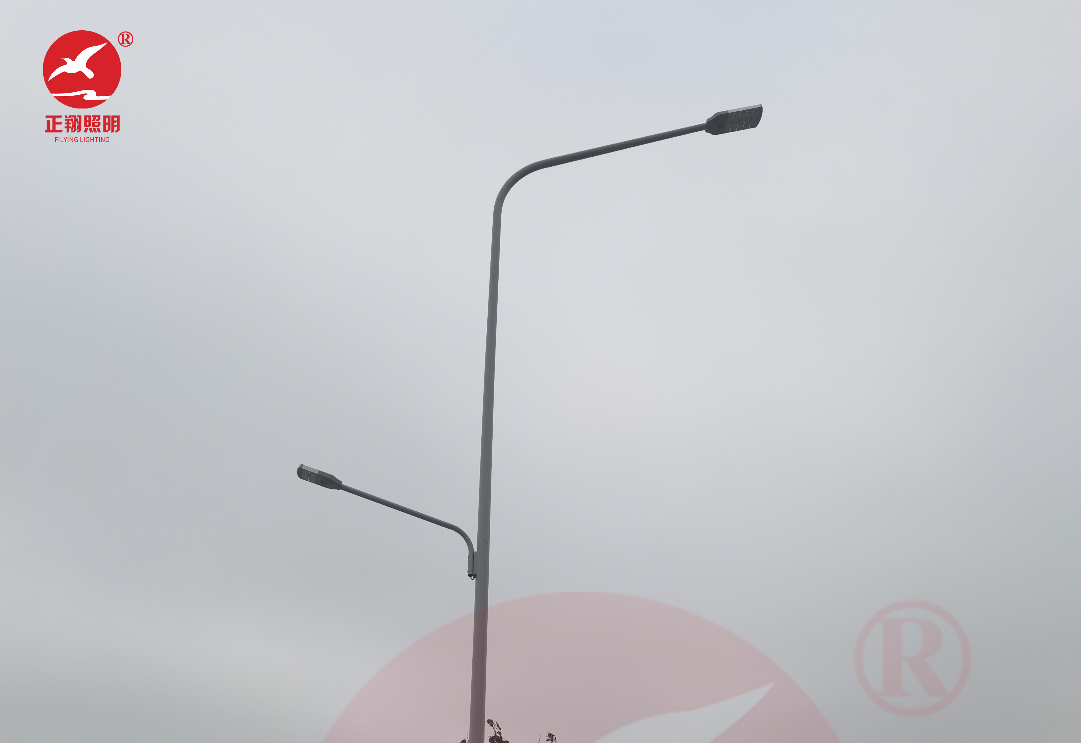 佛山容桂外環(huán)路上涌河路段市電路燈案例