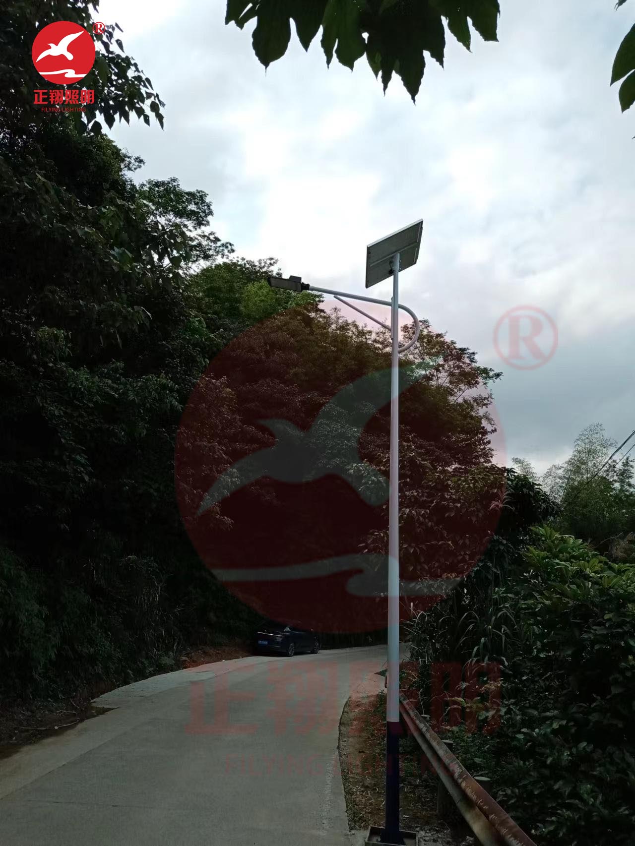 惠州博羅縣太陽能路燈工程案例