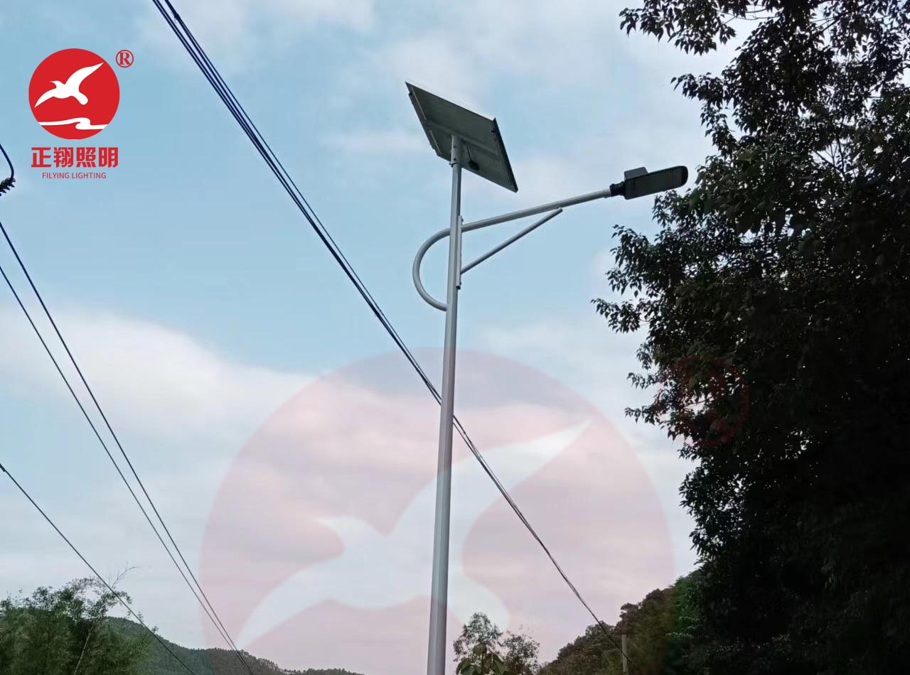 惠州博羅縣太陽能路燈工程案例
