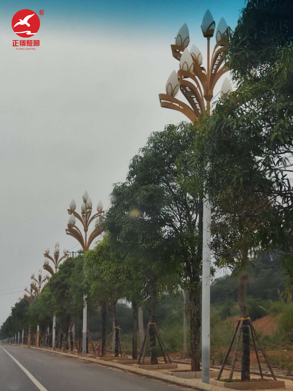 廣西壯族自治區(qū)玉蘭燈工程案例