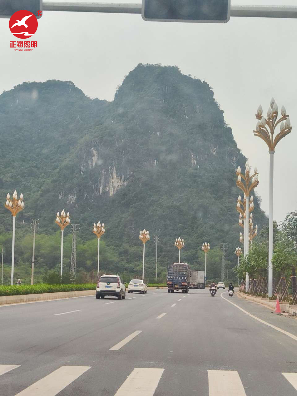 廣西壯族自治區(qū)玉蘭燈工程案例
