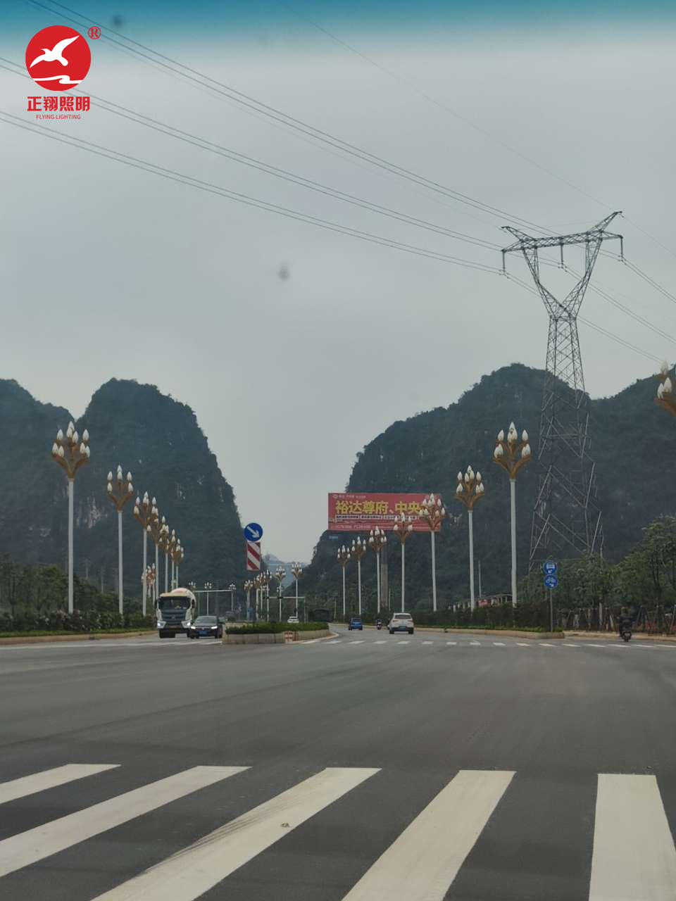 廣西壯族自治區(qū)玉蘭燈工程案例