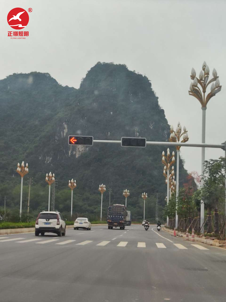廣西壯族自治區(qū)玉蘭燈工程案例
