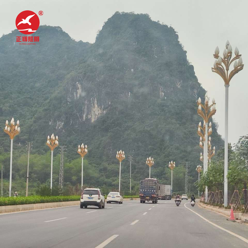 廣西壯族自治區(qū)玉蘭燈工程案例