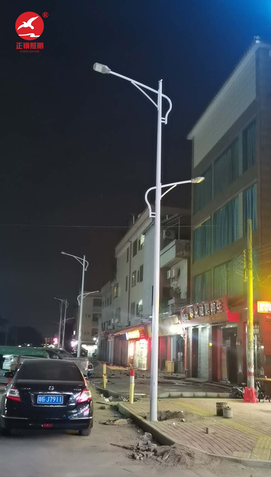 廣東佛山高低臂市電路燈工程案例