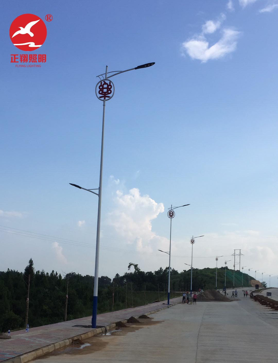 廣東省-韶關(guān)市-樂昌路燈燈具工程案例圖片 (2)