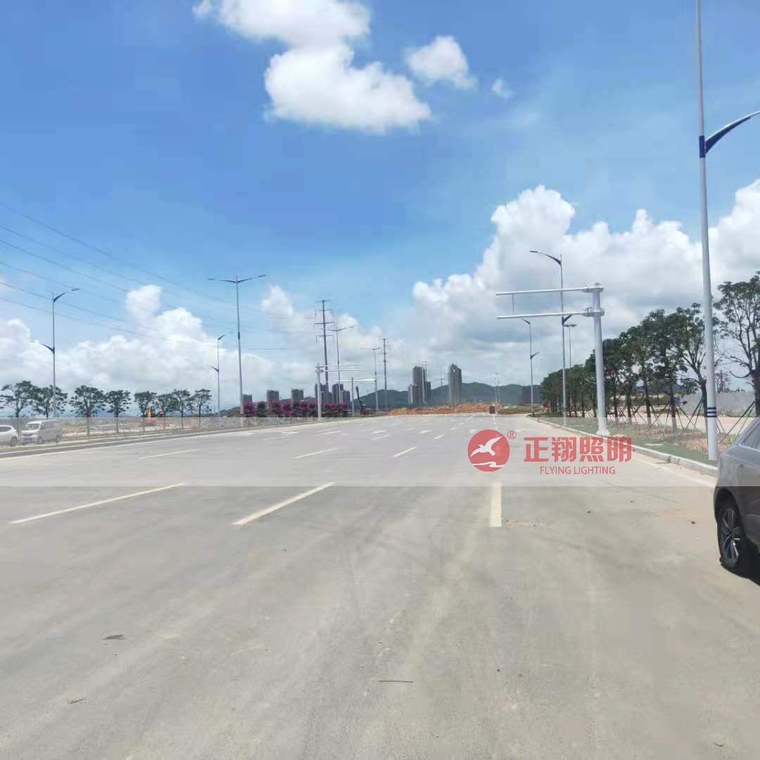 戶外雙臂路燈工程案例