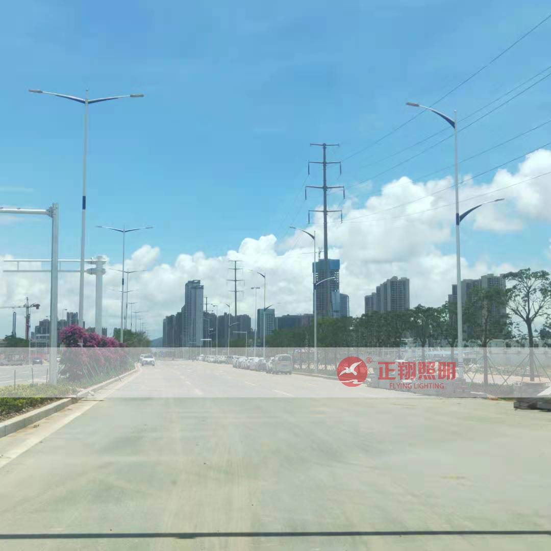 戶外雙臂路燈工程案例