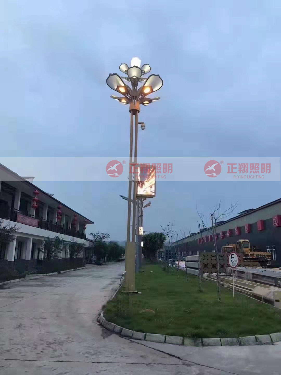 四川-成都-都江堰-竹徑悅山-智慧路燈-(1)