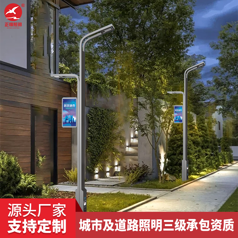 市電雙頭路燈定制