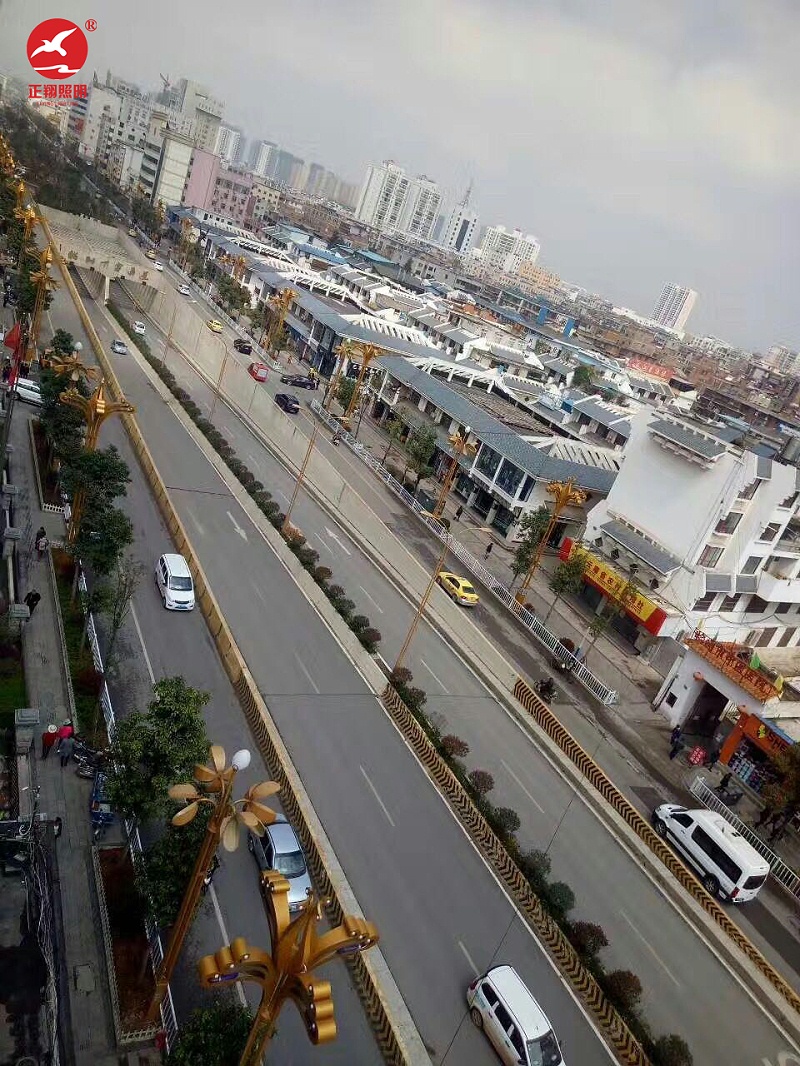 廣東市政道路玉蘭燈工程