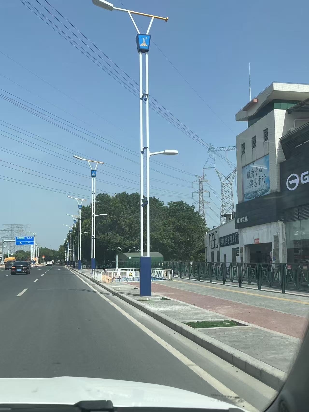 廣州亞運(yùn)大道市電路燈工程案例
