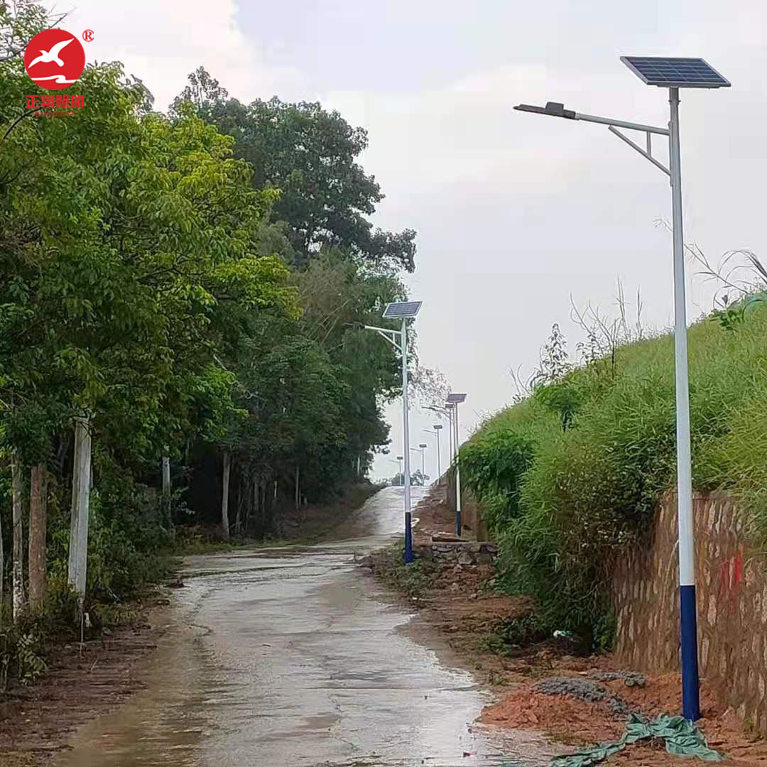 廣東省陽江市太陽能路燈項目案例分享