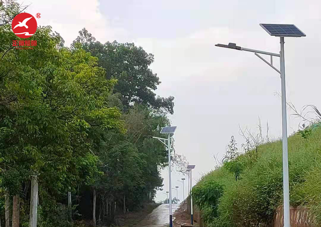 廣東省陽江市太陽能路燈項目案例分享