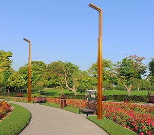 LED景觀燈ZX-JGD074