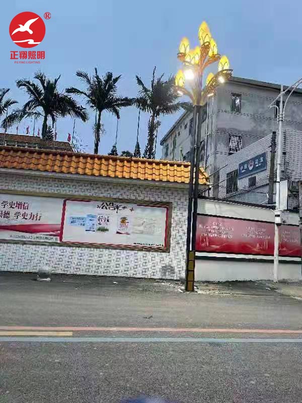 廣東省汕尾市陸豐市潭西鎮(zhèn)單臂6米led路燈工程案例