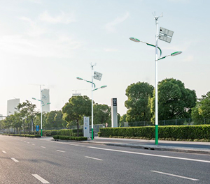 LED太陽能風(fēng)光互補(bǔ)路燈ZX-FDGBLD008