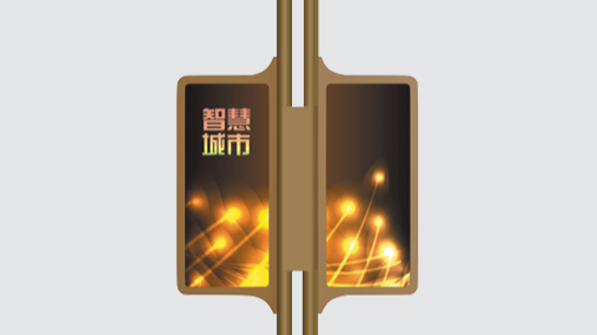 智慧路燈ZX-ZHLD025