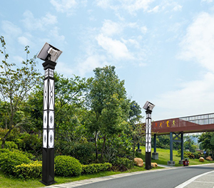 LED景觀燈ZX-JGD101