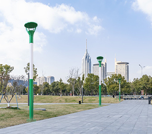 LED景觀燈ZX-JGD108