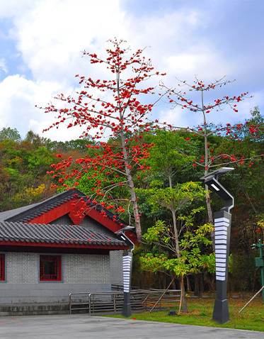 LED景觀燈ZX-JGD110