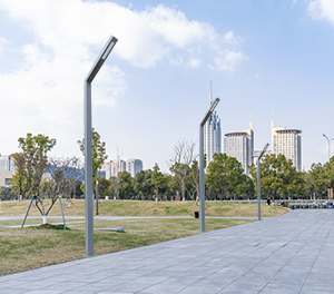 LED景觀燈ZX-JGD112