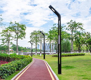 LED景觀燈ZX-JGD115