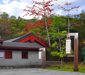 LED景觀燈ZX-JGD116