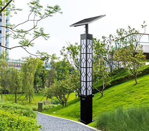 LED景觀燈ZX-JGD118