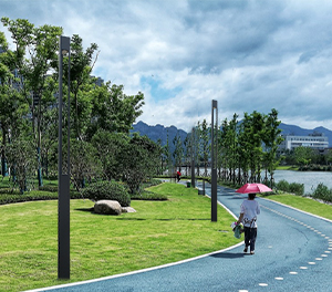 LED景觀燈ZX-JGD122