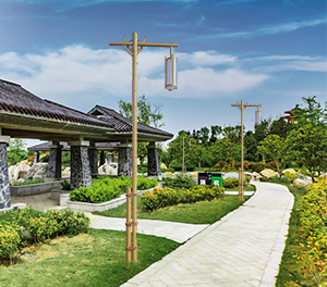 LED景觀燈ZX-JGD131