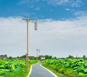 LED景觀燈ZX-JGD131