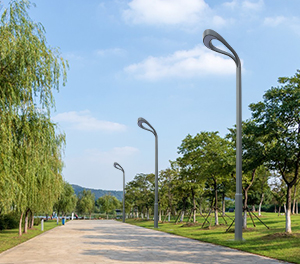 LED景觀燈ZX-JGD134