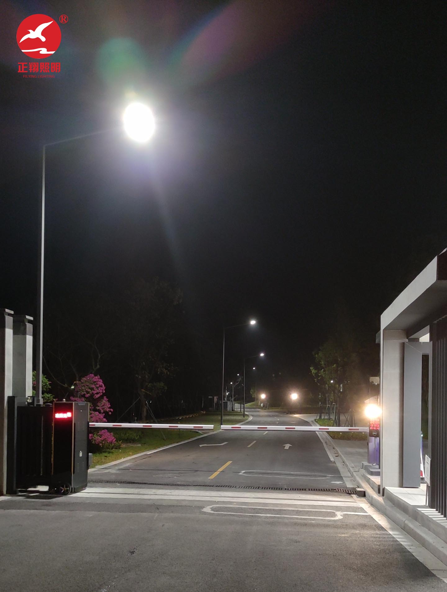 廣州從化碧水新村市電單臂led路燈案例