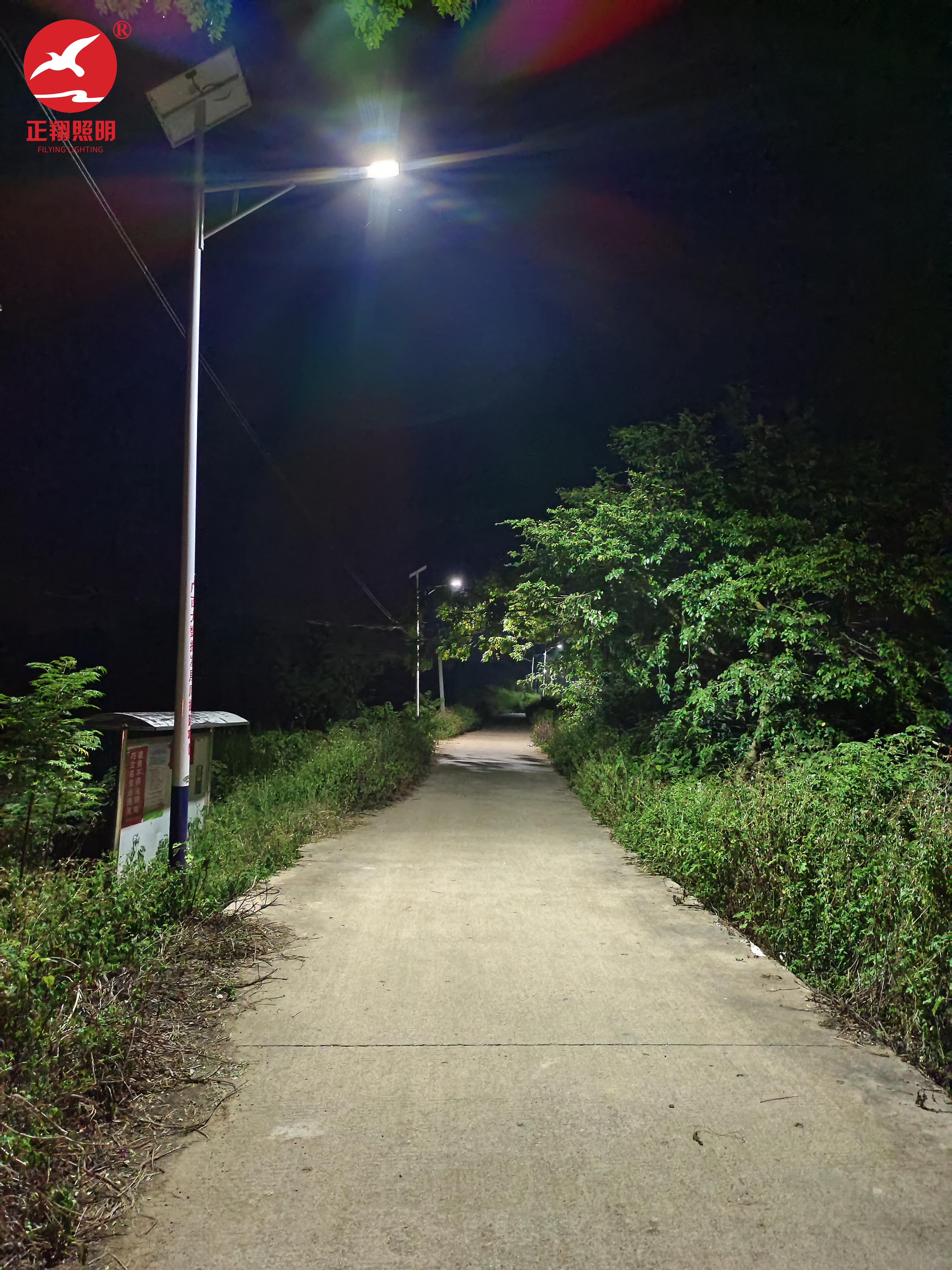 廣西桂平鄉(xiāng)村太陽能路燈項目案例
