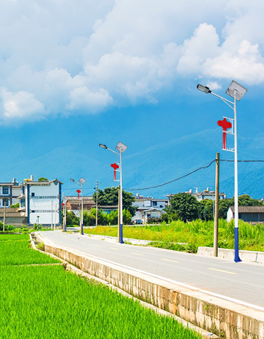 LED太陽能路燈ZX-LD053