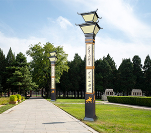 LED景觀燈ZX-JGD137