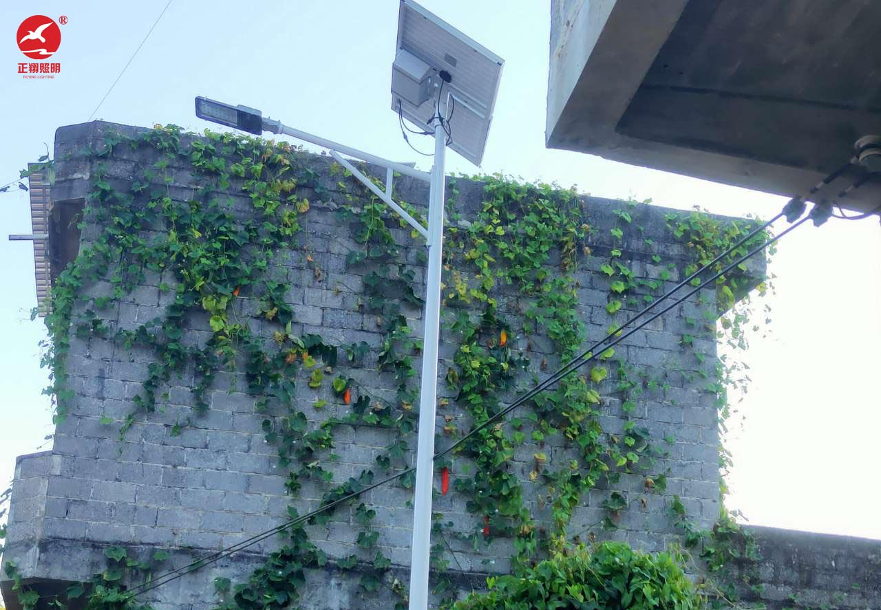 廣西太陽能路燈工程案例