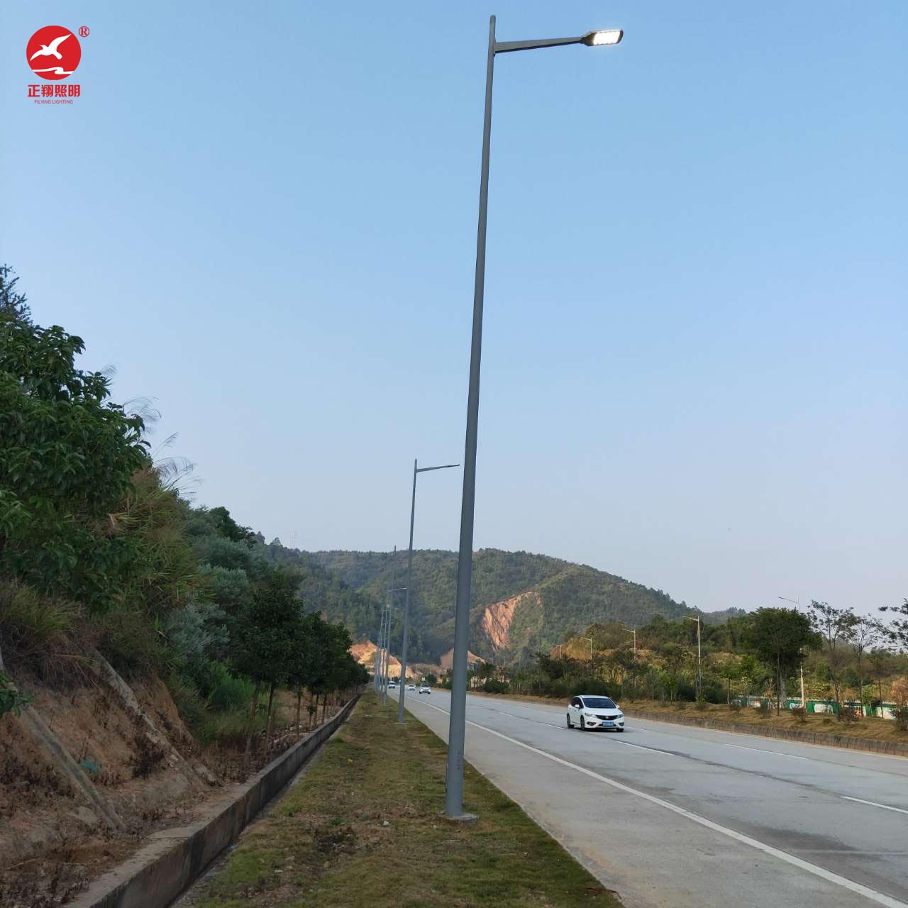 河源紫金縣355國道市電路燈工程案例