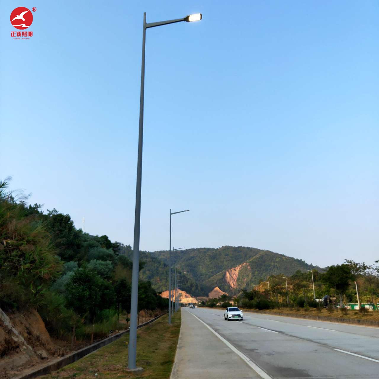 河源紫金縣355國道市電路燈工程案例