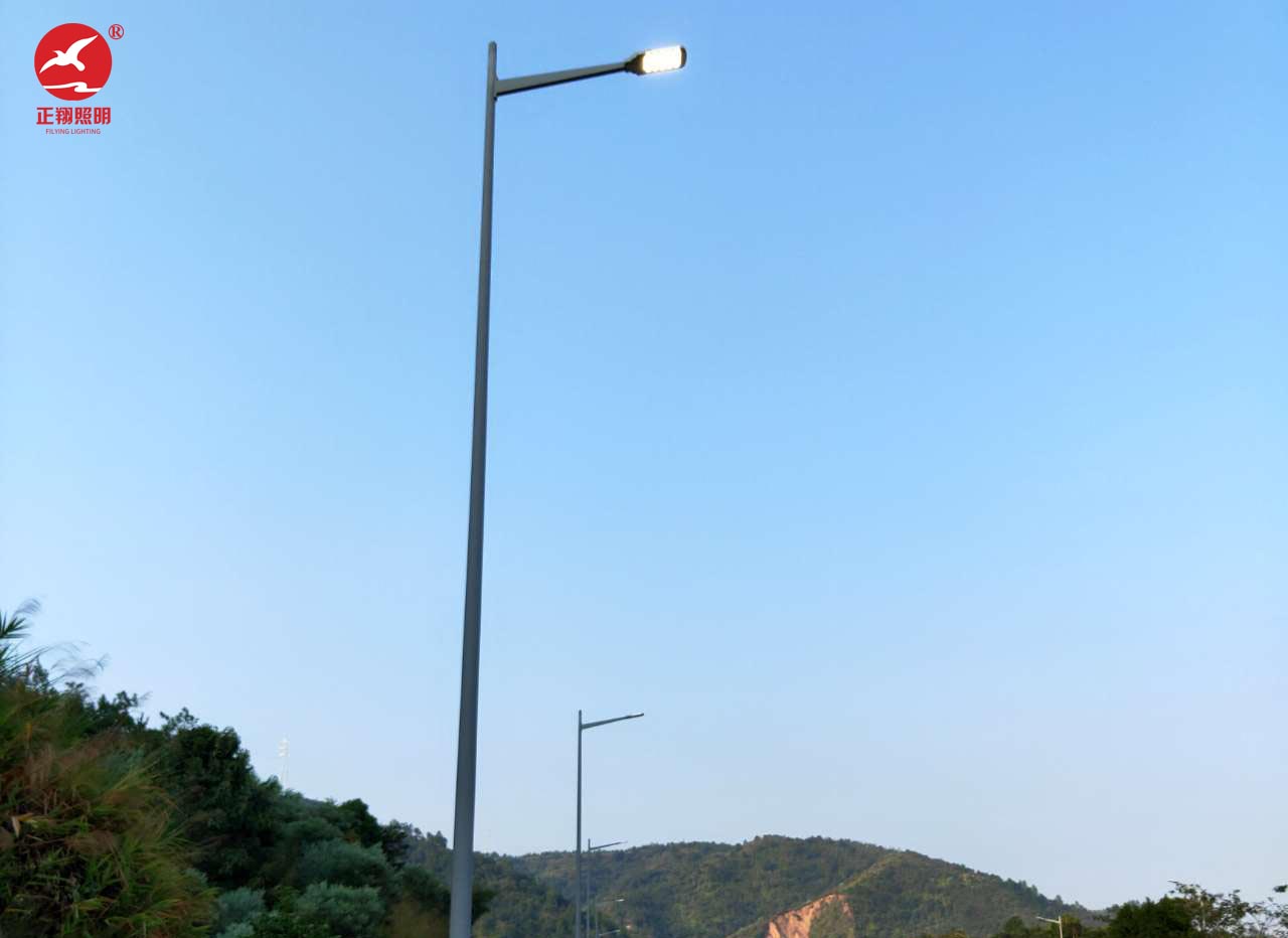河源紫金縣355國(guó)道市電路燈工程案例
