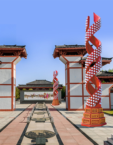 LED景觀燈ZX-JGD145