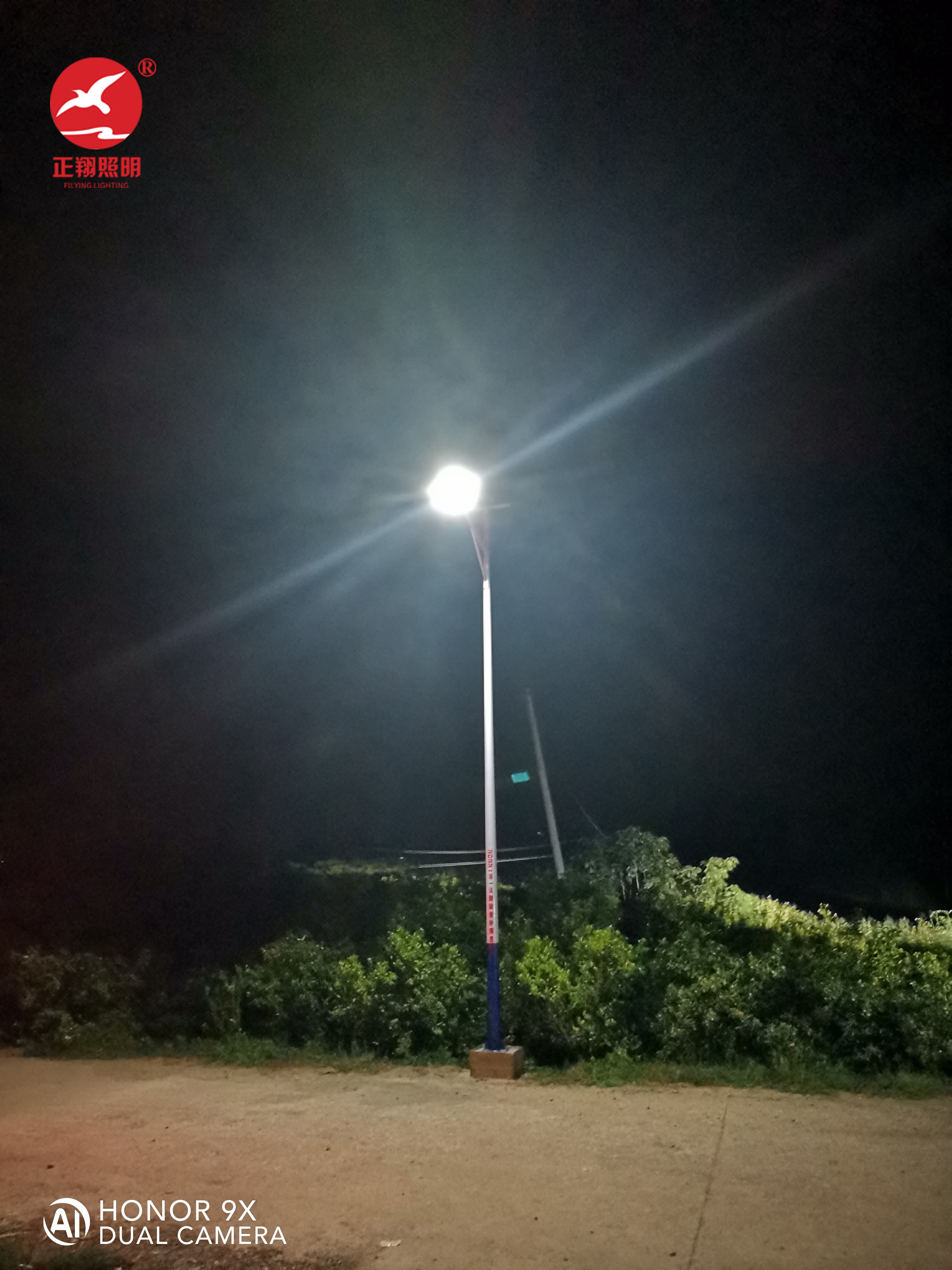 太陽能路燈工程案例