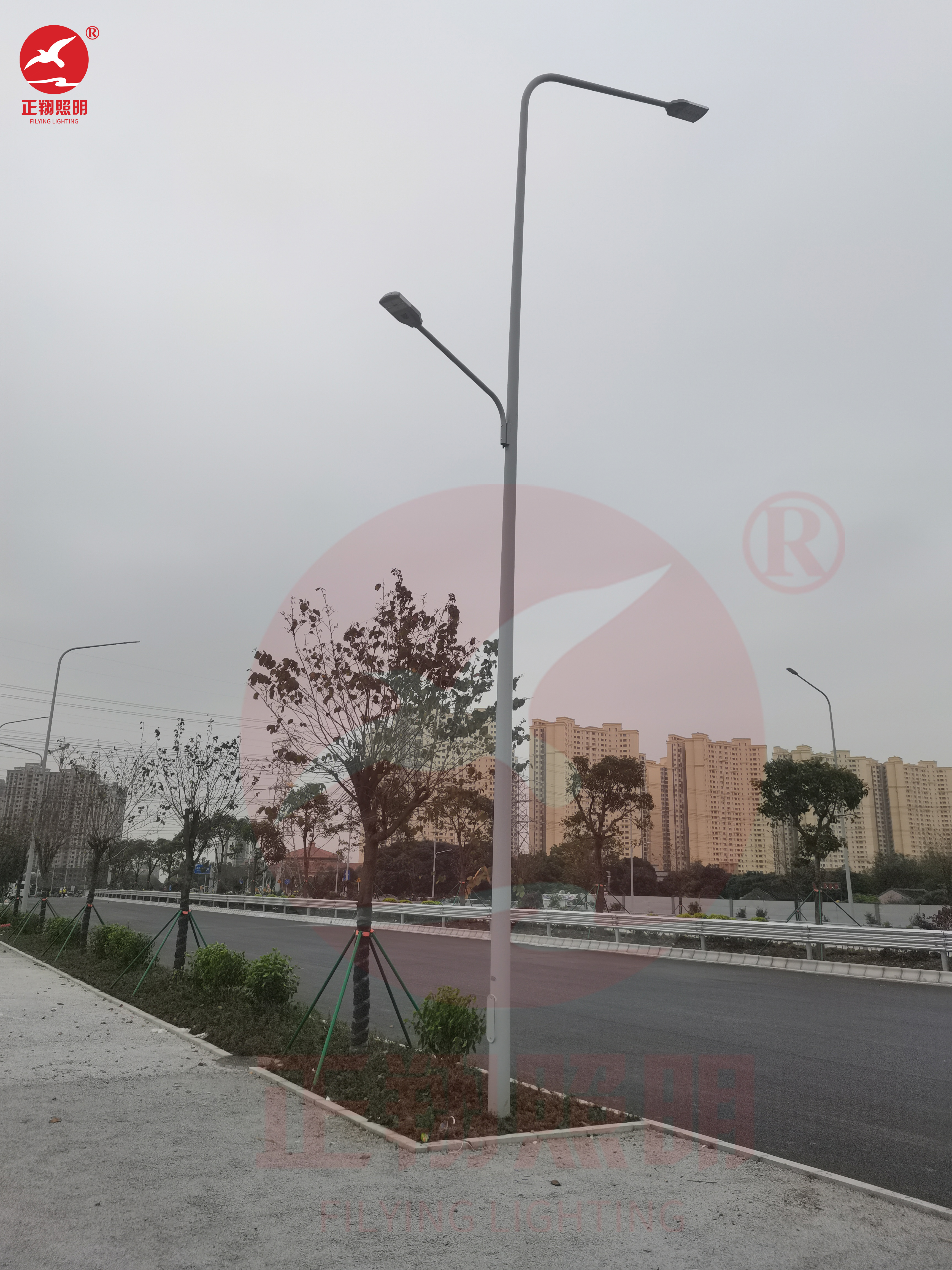 佛山容桂外環(huán)路上涌河路段市電路燈案例
