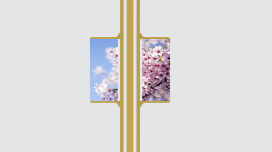 智慧路燈ZX-ZHLD033