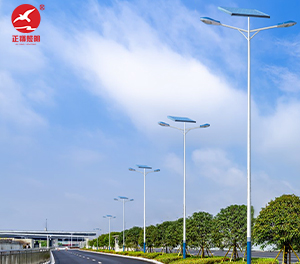 LED太陽能路燈ZX-LD107