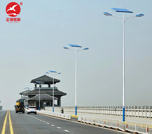 LED太陽能路燈ZX-LD107