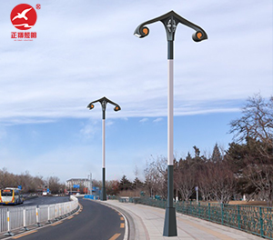 LED景觀燈ZX-JGD153